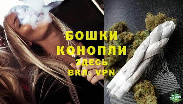кокс Бородино