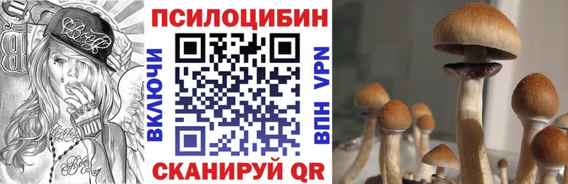 Псилоцибиновые грибы MAGIC MUSHROOMS купить закладку KRAKEN рабочий сайт Грайворон